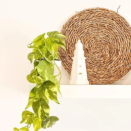 Nautilus By Aloga * 菲尼斯特雷